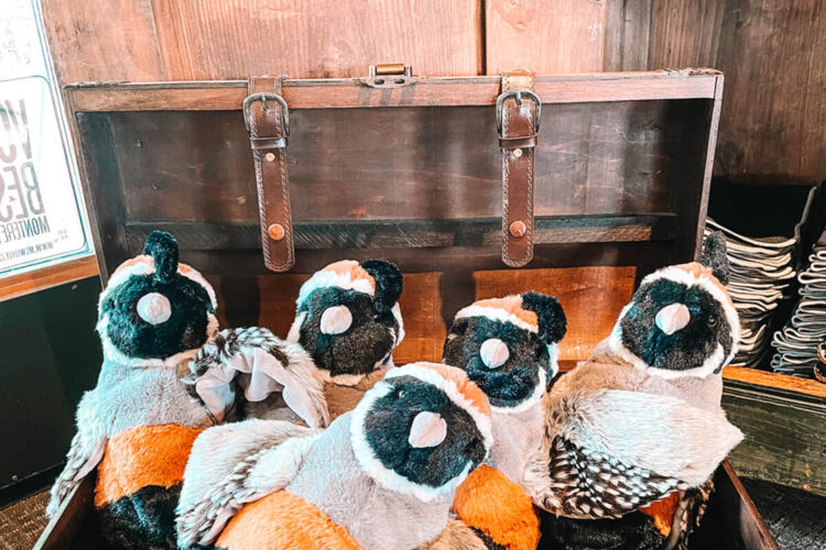 Quail bird stuffed animals at the Quail Lodge gift shop.