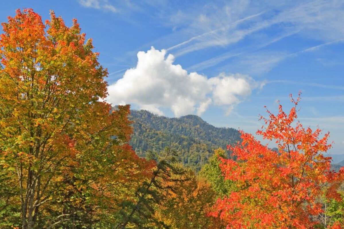 One of the best fall foliage spots to see autumn