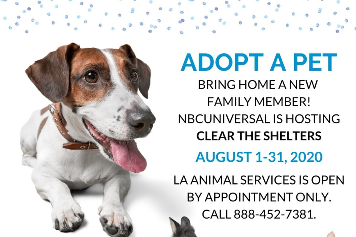 LA%20Animal%20Services%20and%20NBCUniversal%20Clear%20The%20Shelters